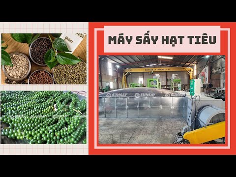 Máy sấy hạt tiêu công nghiệp - Giá máy sấy hạt tiêu 2023