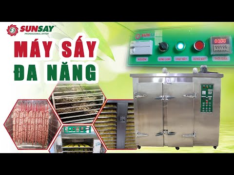 Máy sấy thực phẩm đa năng và những ưu điểm không ngờ