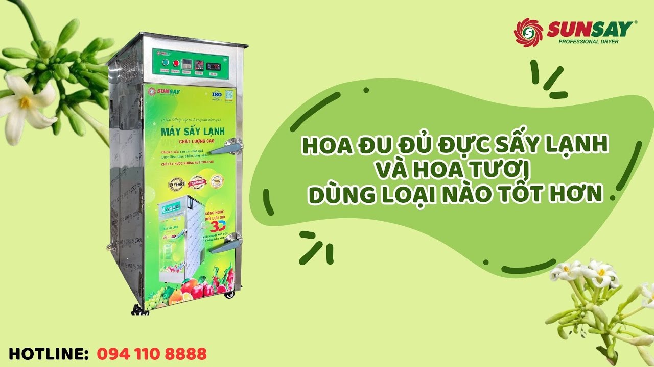 Hoa đu đủ đực tươi và hoa đu đủ đực sấy khô dùng loại nào tốt hơn
