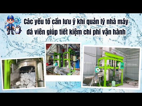 Các yếu tố cần lưu ý khi quản lý nhà máy đá viên giúp tiết kiệm chi phí vận hành