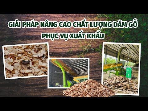 Giải pháp nâng cao chất lượng dăm gỗ phục vụ xuất khẩu