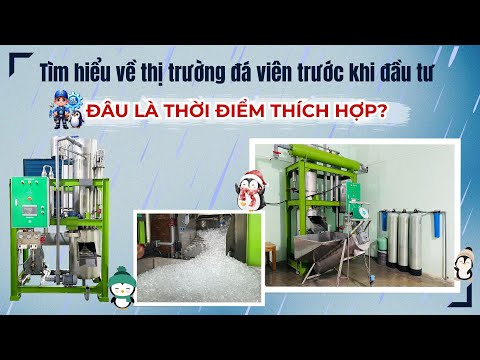 Tìm hiểu về thị trường đá viên trước khi đầu tư