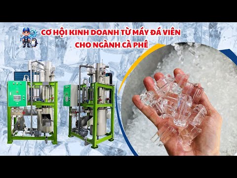 Cơ hội kinh doanh từ máy đá viên cho ngành cà phê
