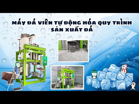 Ứng dụng máy đá viên tự động hóa quy trình sản xuất đá