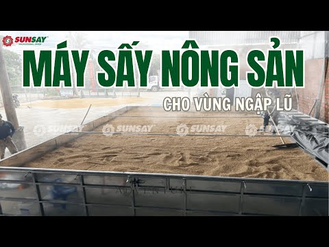 Hiệu quả vượt trội của MÁY SẤY NÔNG SẢN cho vùng ngập lũ trong điều kiện khắc nghiệt