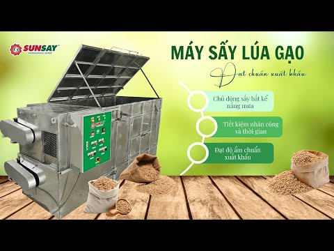 MÁY SẤY LÚA gạo đạt chuẩn xuất khẩu – Giải pháp tối ưu cho mùa vụ và thời tiết thất thường