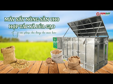 Máy sấy nông sản cho hợp tác xã lúa gạo – Giải pháp chủ động trong mùa mưa bão