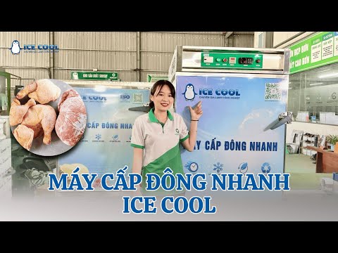 Giới thiệu MÁY CẤP ĐÔNG NHANH 12 Khay ICE COOL