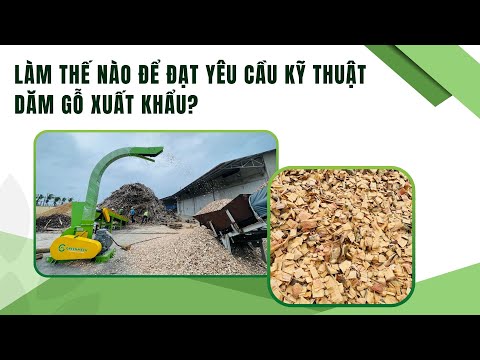 Làm thế nào để đạt yêu cầu kỹ thuật dăm gỗ xuất