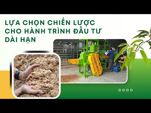 Lựa chọn chiến lược cho hành trình đầu tư dài hạn