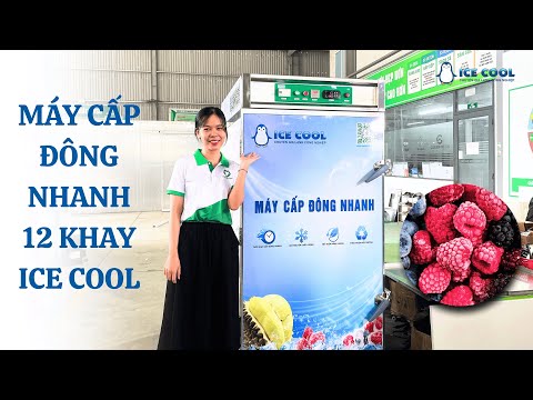 MÁY CẤP ĐÔNG NHANH 12 Khay ICE COOL