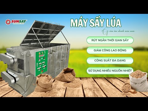 Máy sấy lúa giảm ẩm nhanh mùa mưa giúp giữ chất lượng hạt và ổn định giá bán
