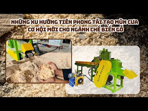 Những xu hướng tiên phong tái tạo mùn