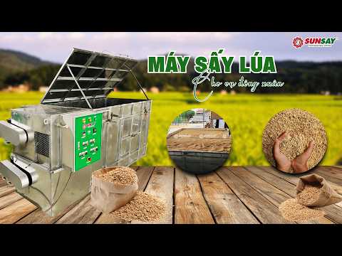 Máy sấy lúa cho vụ đông xuân
