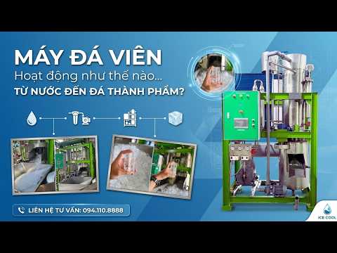 Máy đá viên hoạt động như thế nào