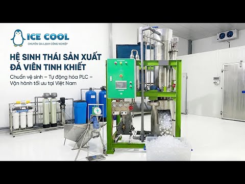 Sản xuất đá viên tinh khiết với ICE COOL