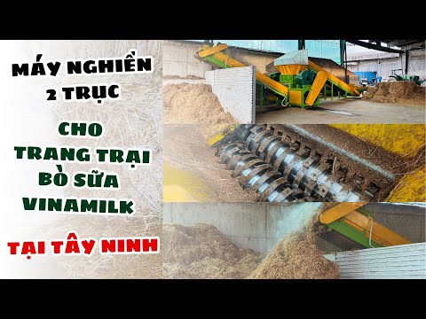GREEN MECH cung cấp máy nghiền 2 trục công suất 3 tấn cho trang trại bò sữa Vinamilk tại Tây Ninh