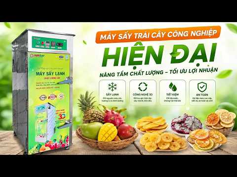 Máy sấy trái cây công nghiệp hiện đại – Giải pháp chuẩn hóa chất lượng thành phẩm